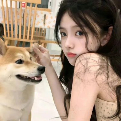 猎狐娇娃